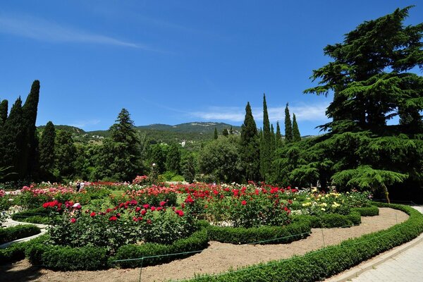 Macizos de flores rojas en el parque