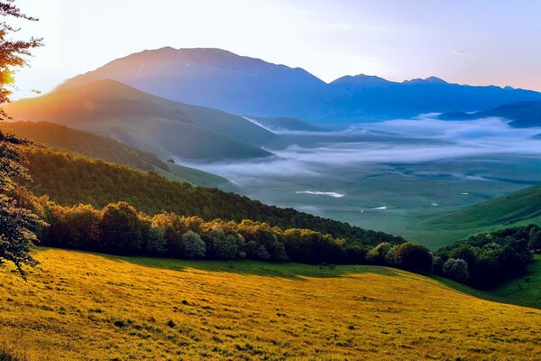 Aube. Brouillard rampant entre les collines verdoyantes