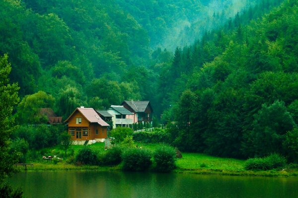 Grande maison en abondance de verdure