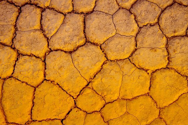 Tierra seca agrietado desierto