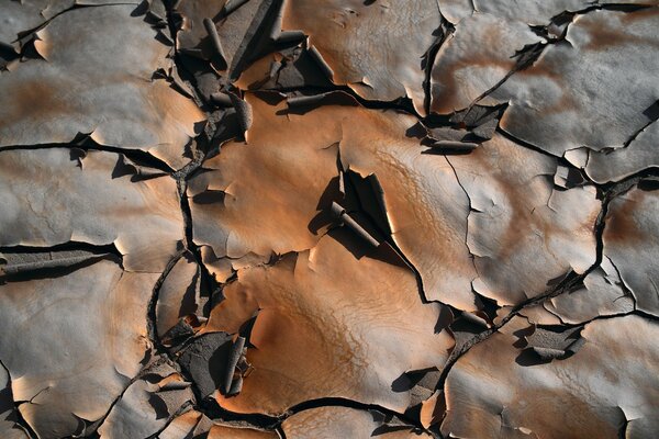 Dried and cracked earth on a puddle