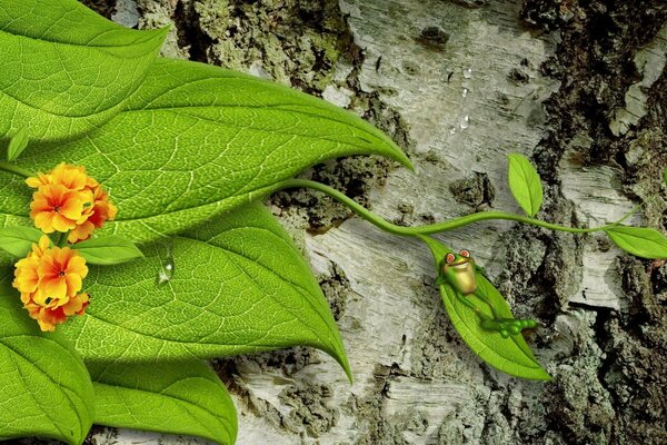 Ein grüner Frosch liegt in einem grünen Blatt