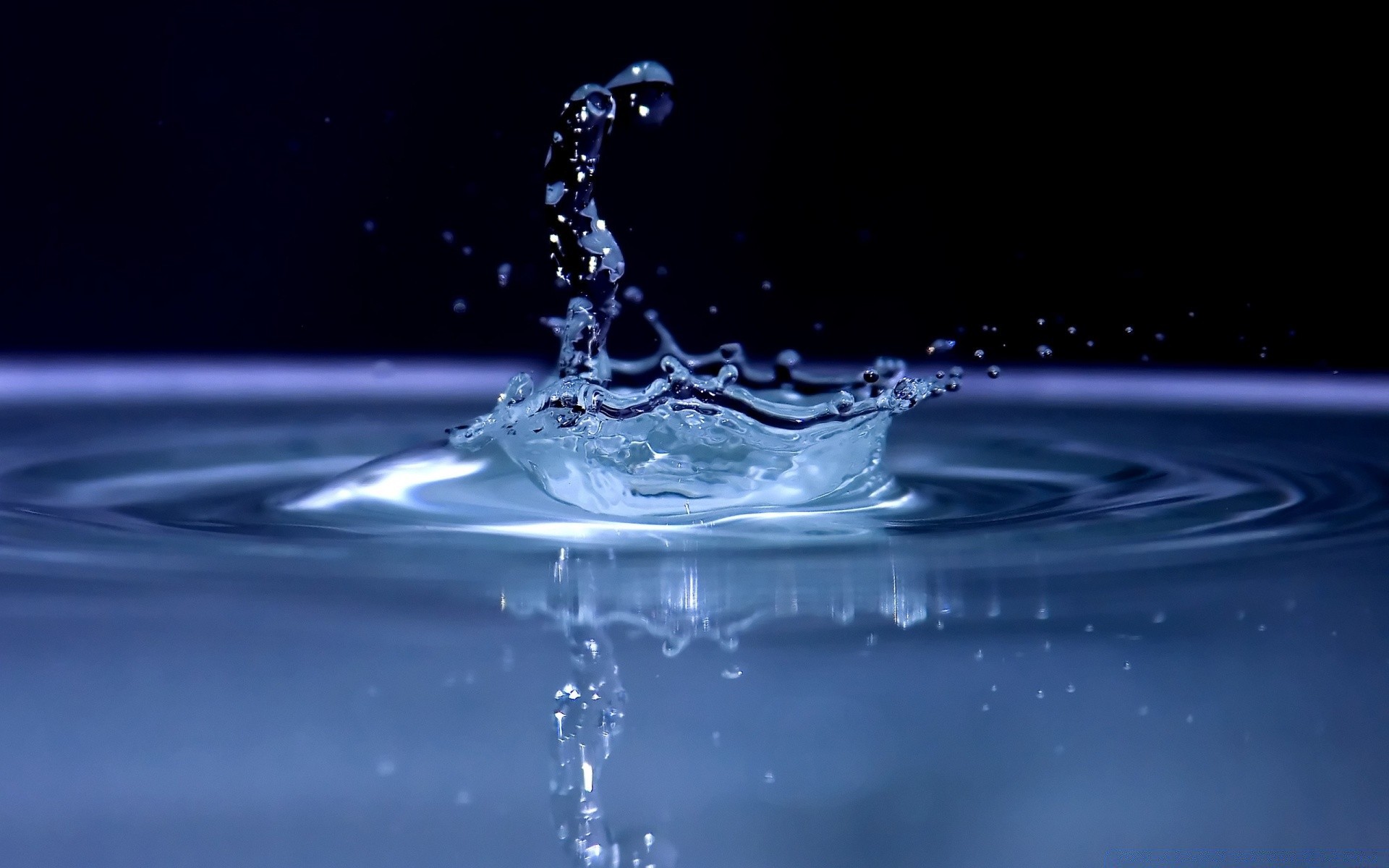 droplets and water drop splash motion droplet wet ripple purity bubble liquid clean drink drip flow rain impact water cold fluid wave