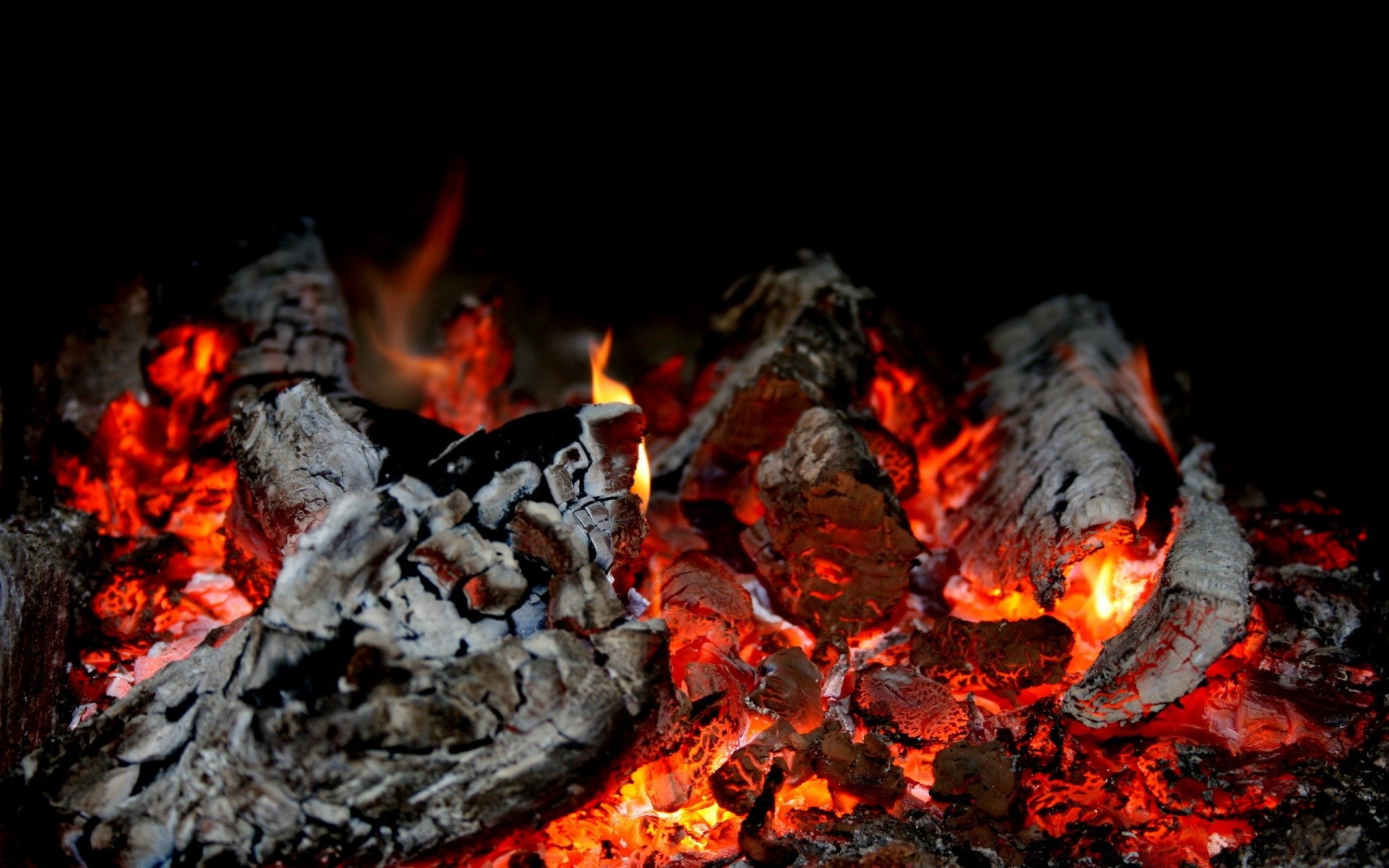 fogo chama fogueira fogueira lareira carvão carvão lenha cinza queimar inferno calor blaze quente acampamento perigo combustível inflamável fumaça inflamar