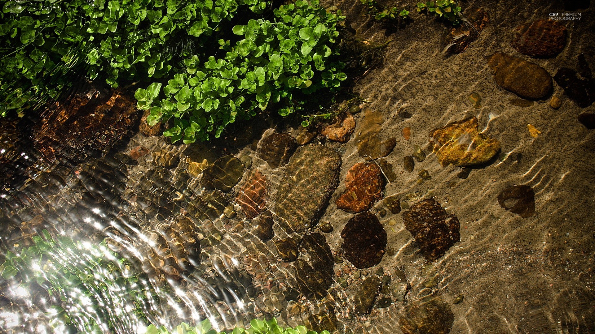 droplets and water nature water stone rock desktop