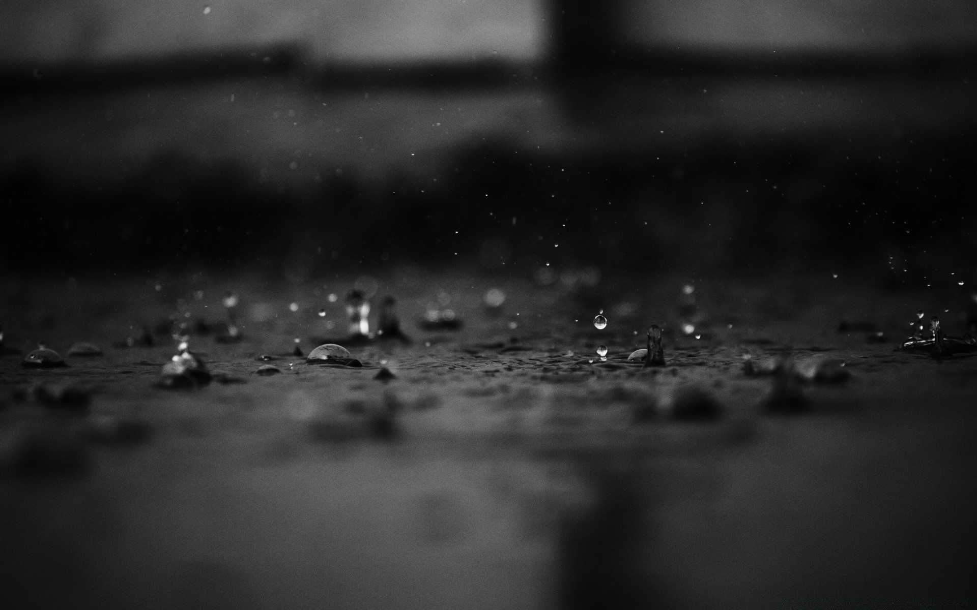 agua lluvia gota mojado monocromo gotas rocío reflexión gotas splash frío burbuja luz blanco y negro vidrio beber dop resumen líquido limpio