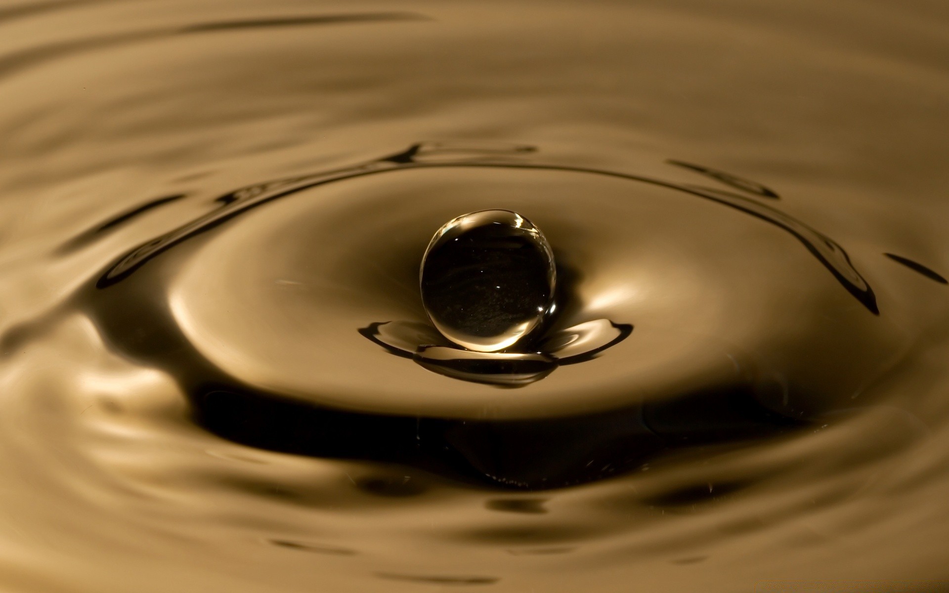 wasser reflexion welle spritzen tropfen tropfen stillleben trinken welligkeit regen moment flüssigkeit bewegung abstrakt strand nass unschärfe kalt sauber