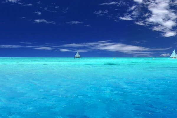 Barcos de vela en el océano azul