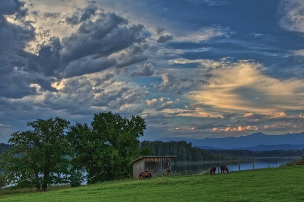 Rural landscape. Horses graze in a meadow near the river. A small shed on the shore. It s getting dark