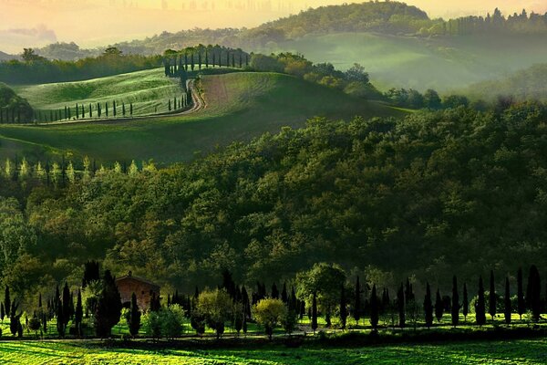 Imagen del bosque verde de isos en el que se encuentra la hierba de la montaña y la casa