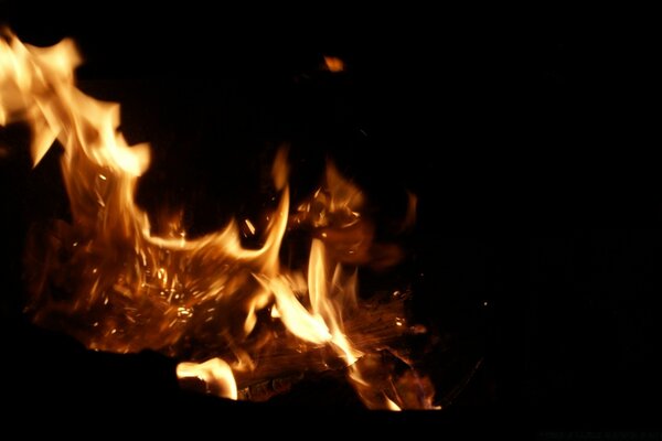 Feu de joie, feu et flamme