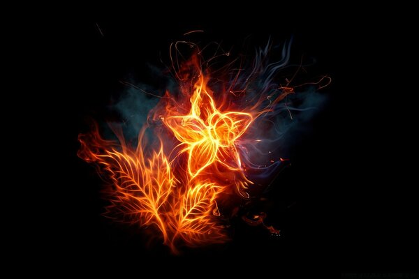 Image of a flower made of flame on a black background