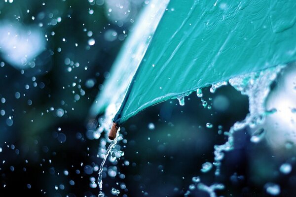 Water drips from the umbrella, rain