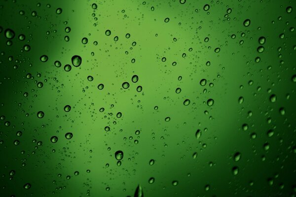 Raindrops on the green window