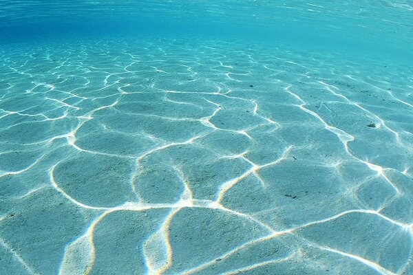 Papier peint photo pour le bureau. Plage et eau