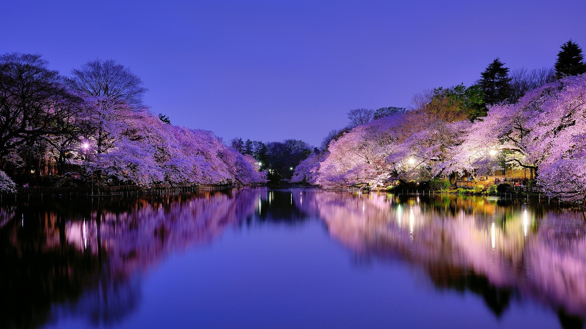 stadt und architektur reflexion see wasser natur baum landschaft dämmerung sonnenuntergang himmel park fluss farbe landschaftlich abend sommer