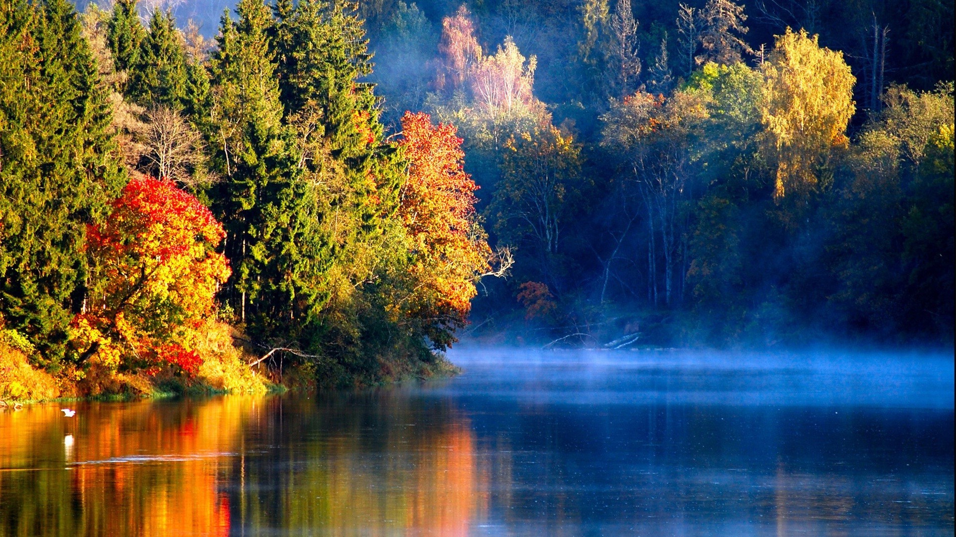 lake fall water wood outdoors leaf nature tree landscape scenic river dawn wild composure