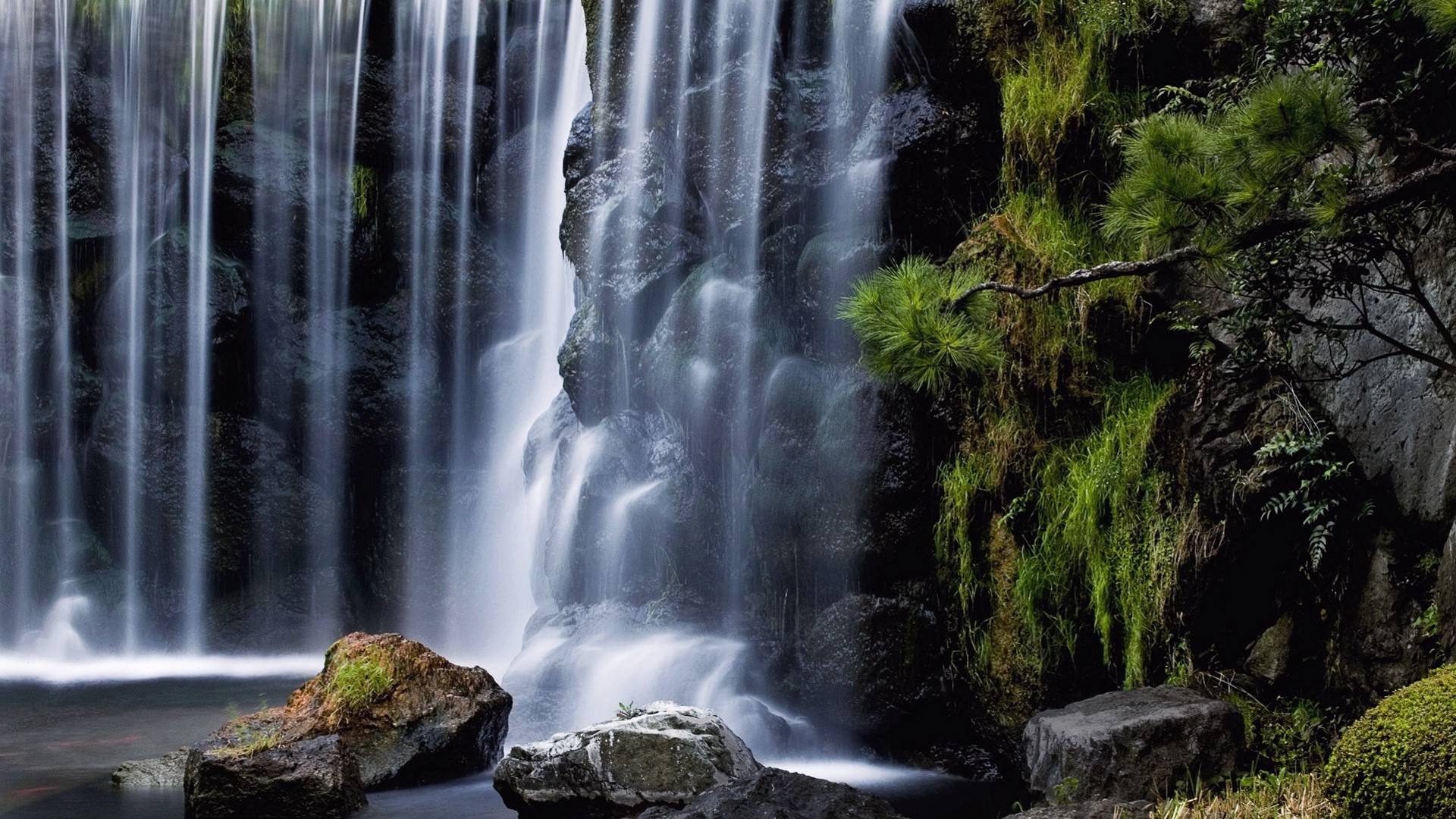 cascadas cascada agua naturaleza río madera al aire libre otoño roca viajes corriente mojado cascada paisaje movimiento pureza salvaje montañas árbol hoja