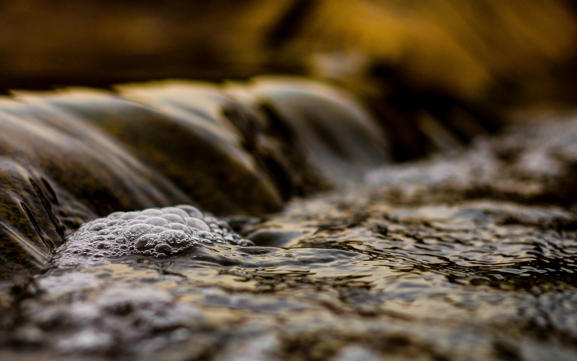 wasser natur holz unschärfe strand desktop schließen im freien