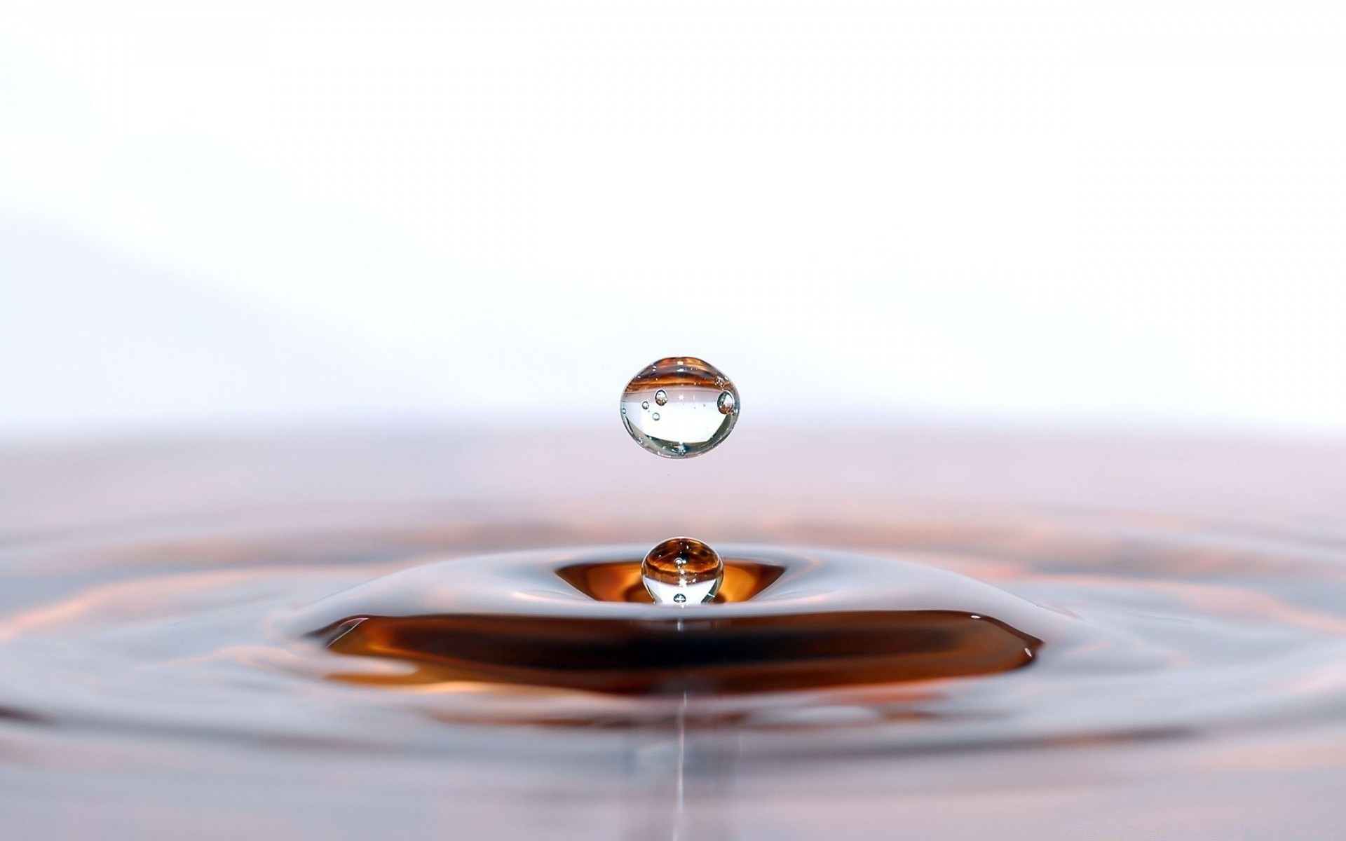 gotículas e água gota reflexão água pureza chuva molhado respingo gotas líquido natureza limpo liso movimento ainda vida ação ondulação onda bolha zen