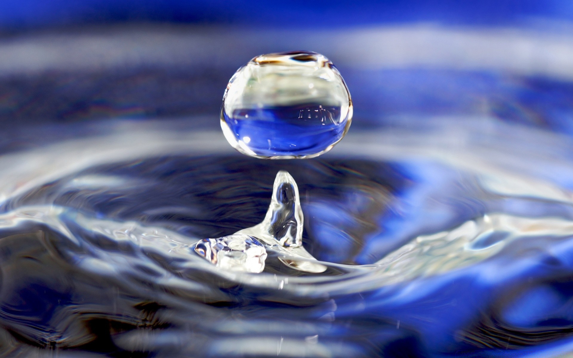 gotas y agua agua reflexión salpicaduras mojado caída movimiento ondulación burbuja limpio onda lluvia gotas frío claro naturaleza escritorio limpio abstracto luz