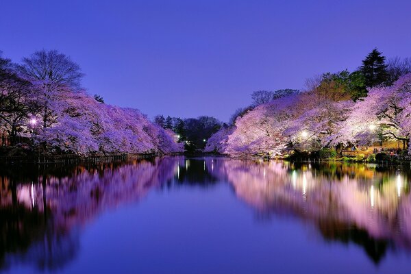 The river is smooth as a mirror in lilac color