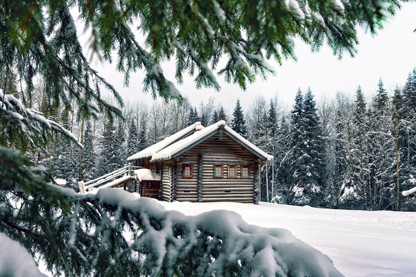 Casa de madeira na floresta de Inverno