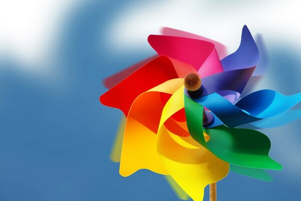 A seven-colored flower of all colors of the rainbow