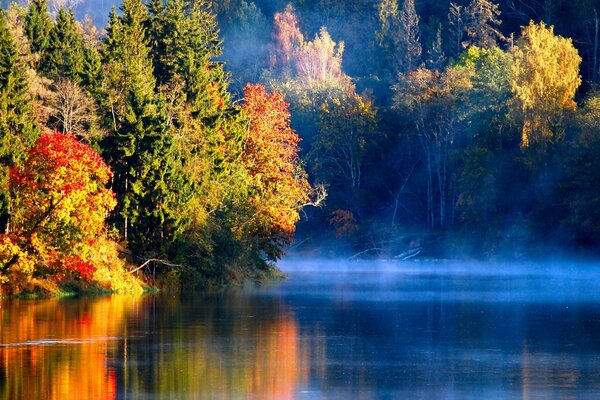 Otoño en el reflejo del lago. El milagro de la naturaleza