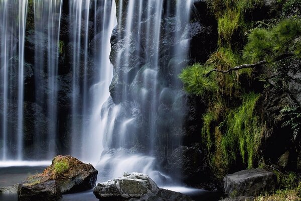 Der Wasserfall ist in seiner ganzen Pracht. Die Natur