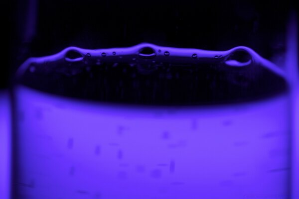 Water droplets on a dark purple background