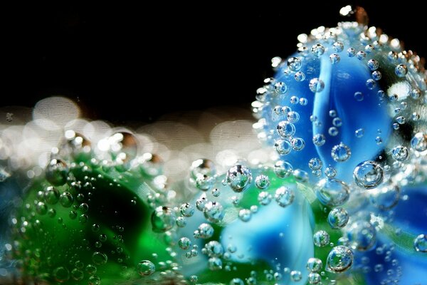 Water droplets on flowers and leaves