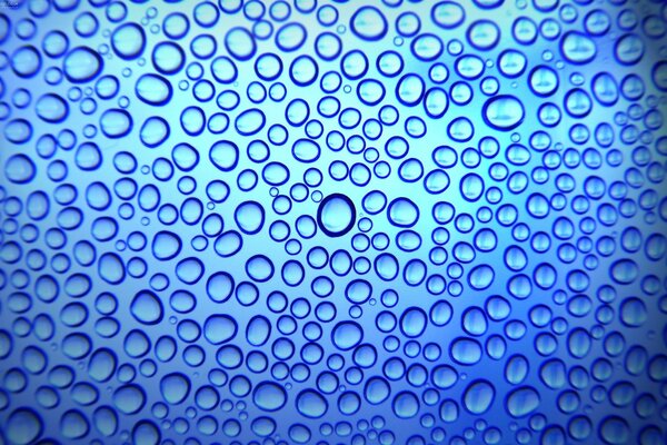 Gouttes de pluie sous le microscope