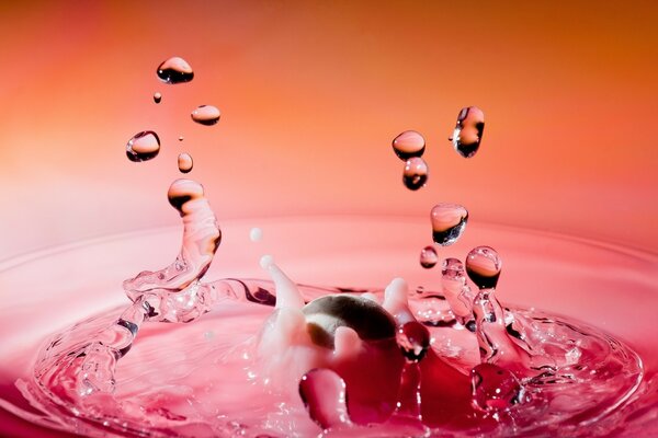 Splash of water on a pink background