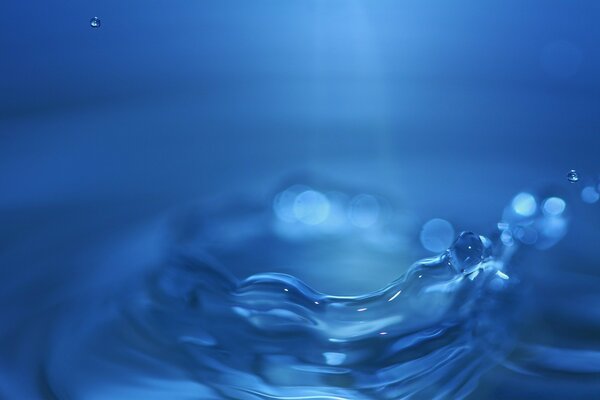 Les yeux de l eau du photographe lors de la prise de vue macro