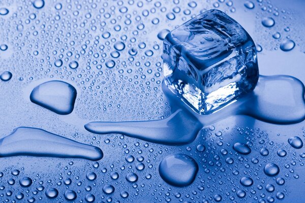 Melting ice cube on wet glass