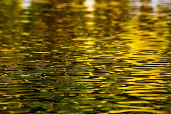 Reflexion der Stadtbeleuchtung im Wasser