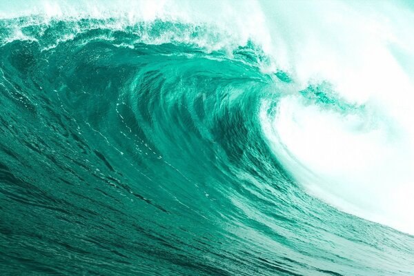 Photo of turquoise high wave