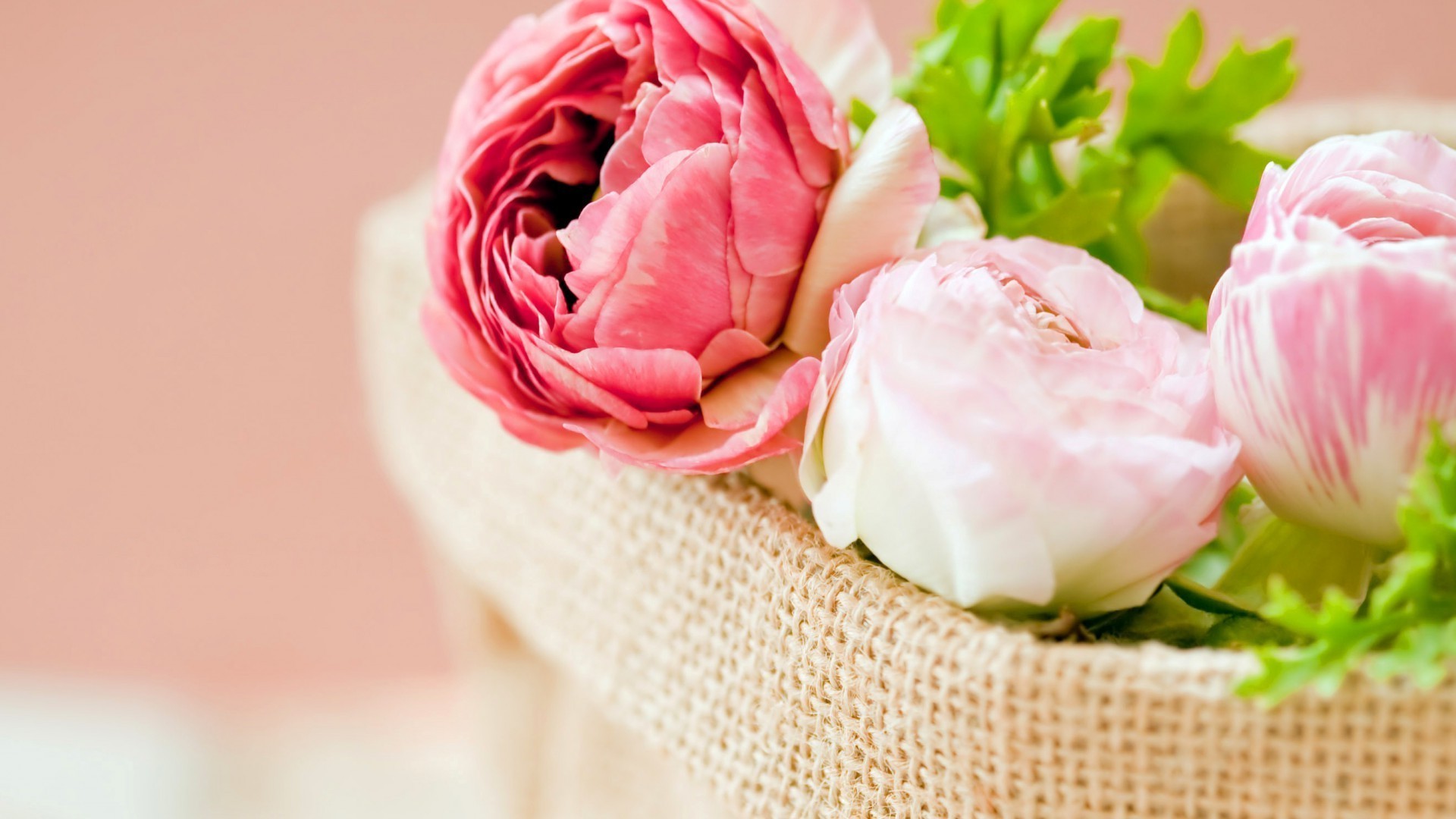 rosas flor amor boda romance naturaleza ramo pétalo hoja floral