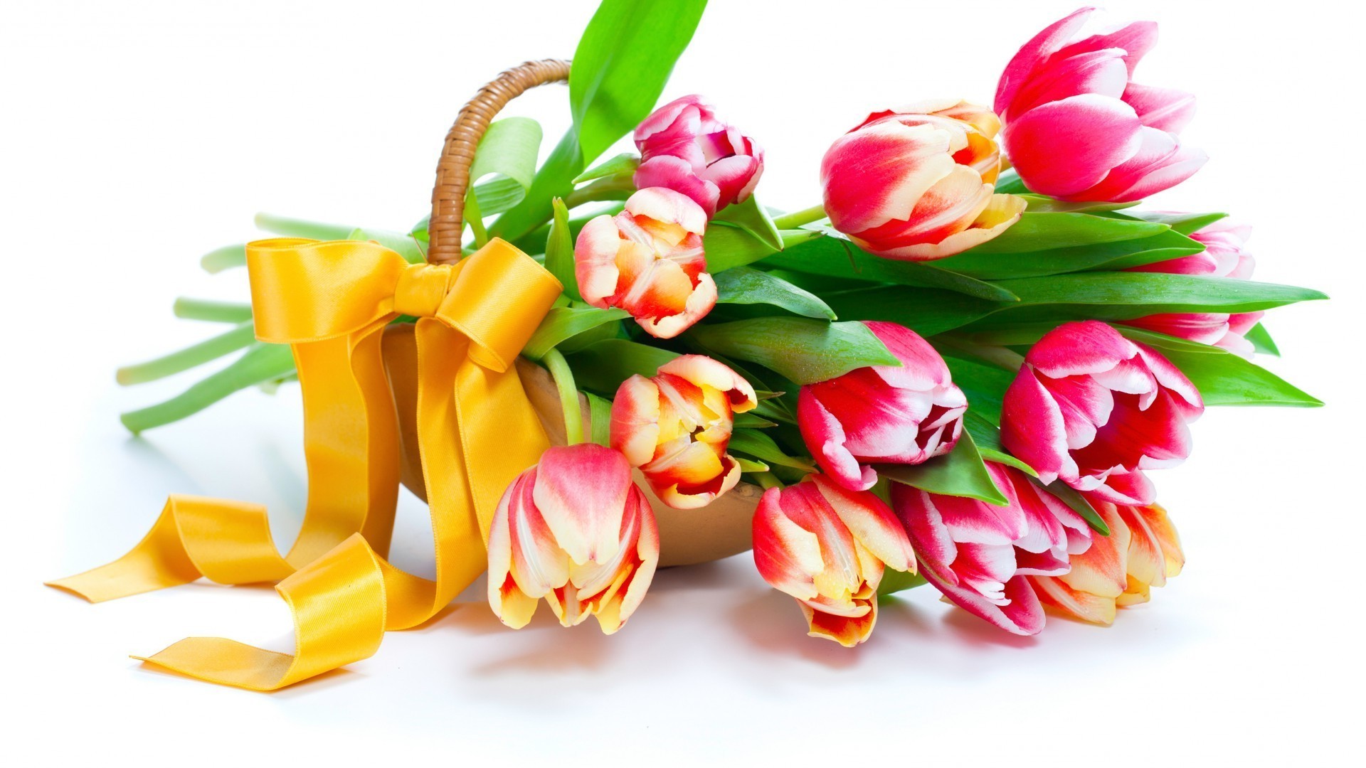 tulpen ostern blatt geschenk natur tulpe blume liebe blumenstrauß isoliert urlaub geburtstag dekoration hell sommer romantik