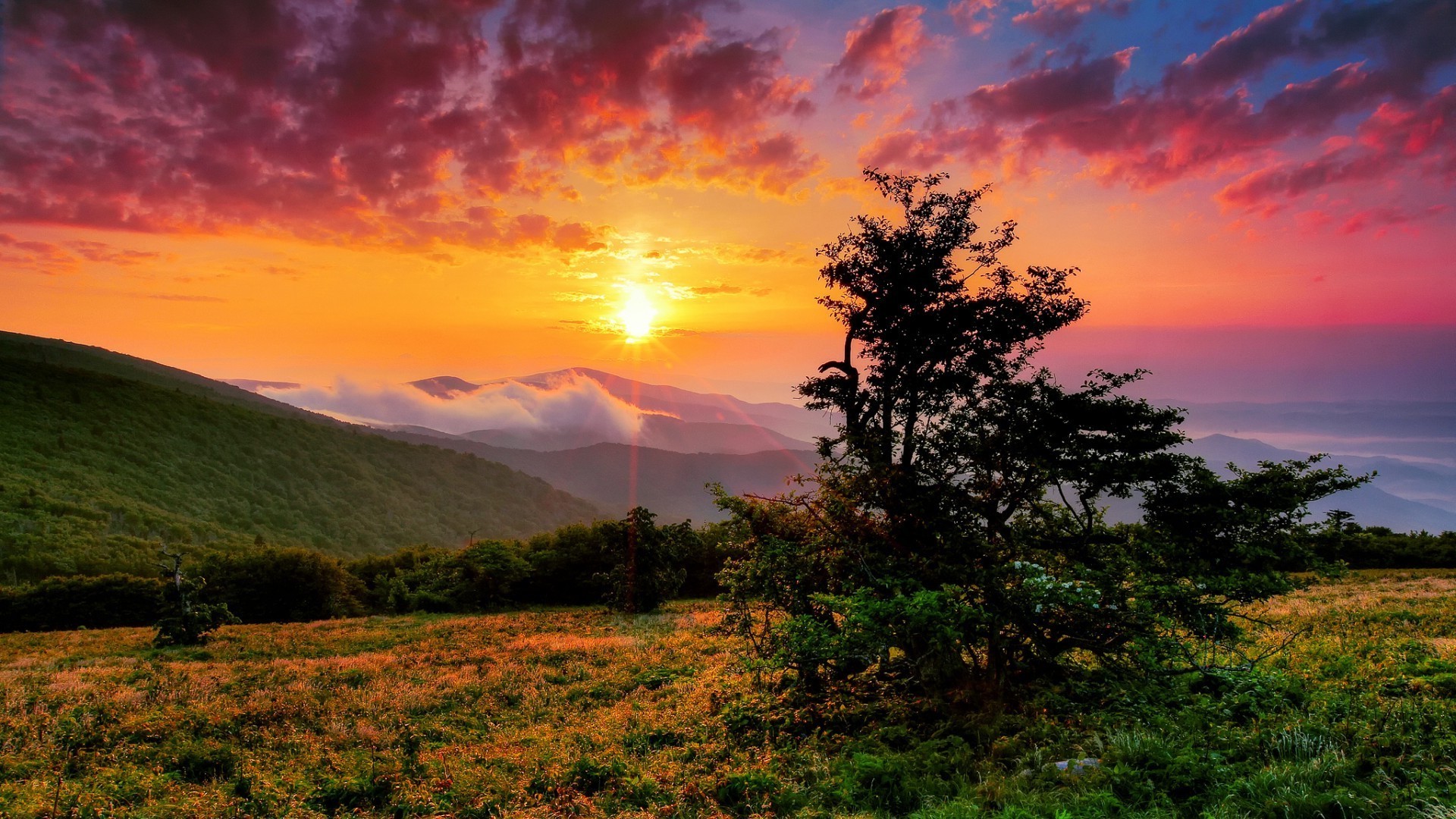 pôr do sol e amanhecer pôr do sol paisagem amanhecer sol natureza céu árvore noite crepúsculo bom tempo verão luz ao ar livre