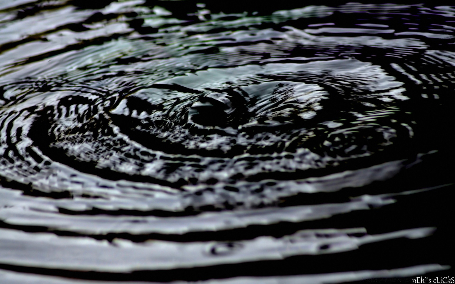 gotas y agua mojado agua lluvia gota naturaleza superficie reflexión splash escritorio onda limpio líquido resumen ondulación limpio frío suave textura