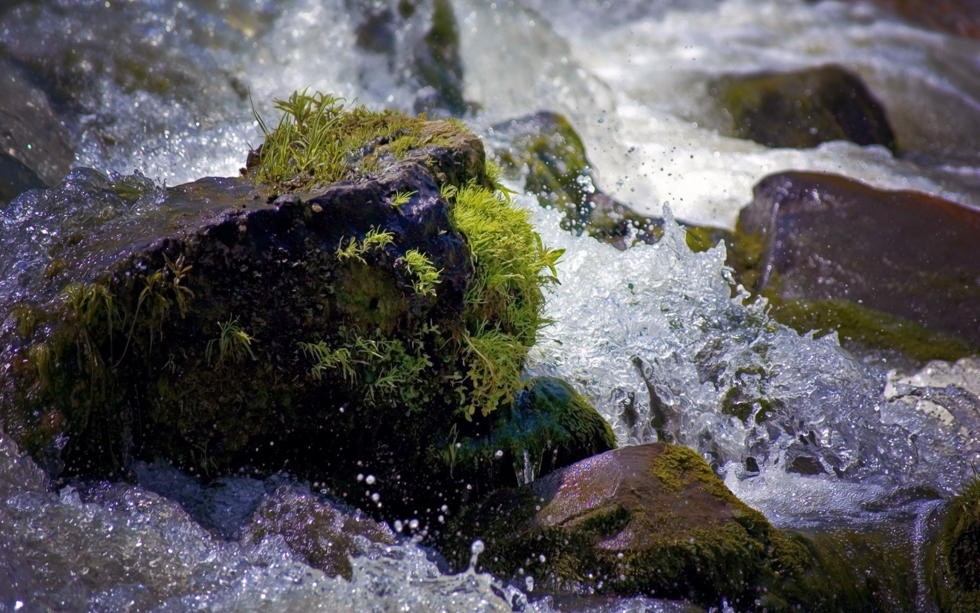 gouttelettes d eau eau nature rock pierre mousse à l extérieur flux paysage environnement humide rivière voyage splash été cascade flux