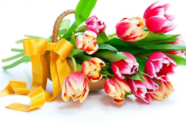 Geschenk Tulpen zu Ostern