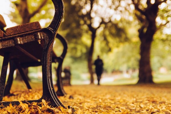 Banco en el parque de otoño