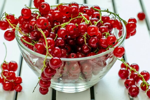 Rote Johannisbeere bittet darum, sie zu essen