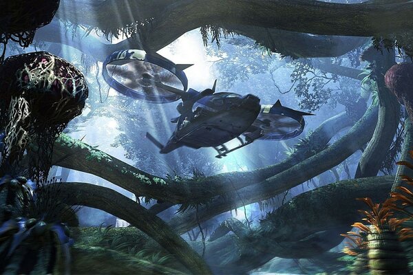 Fantastic Underwater Water Fish Aquarium