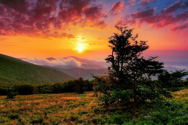 Il sole sorge in una bellissima valle