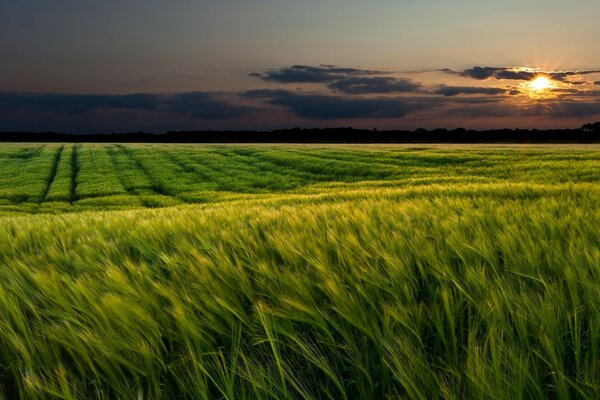 Tramonto e Alba campo villaggio