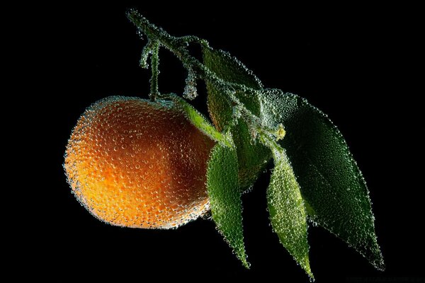 Ripresa macro di una pesca matura su un ramo in gocce d acqua